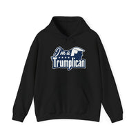 The Trumplican Party™ Unisex Hoodie | D-27 - Image 2