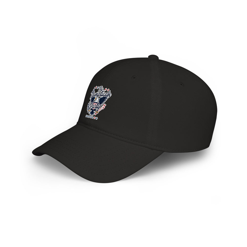 Low Profile Baseball Cap — 'The Trumplicans' Retro Patriotic Logo Hat - Image 12