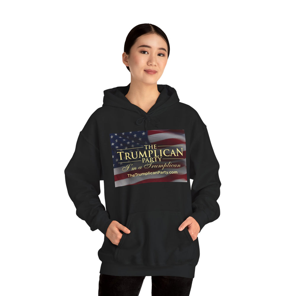 The Trumplican Party™ Unisex Hoodie | D-80 - Image 25
